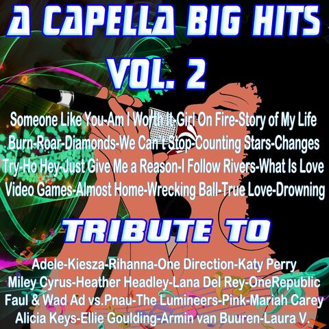 A Capella Big Hits Vol. 2