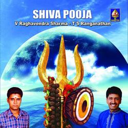 Lingaashtakam