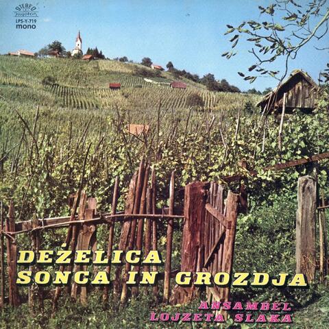 Deželica Sonca In Grozdja