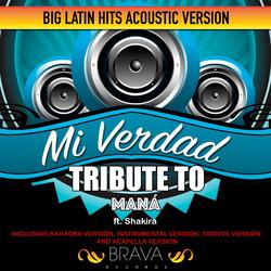 Mi Verdad - (Acoustic Version) Tribute To Maná Ft. Shakira [Instrumental]