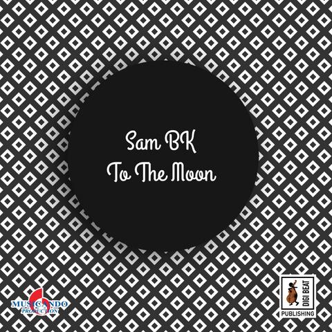 To the Moon