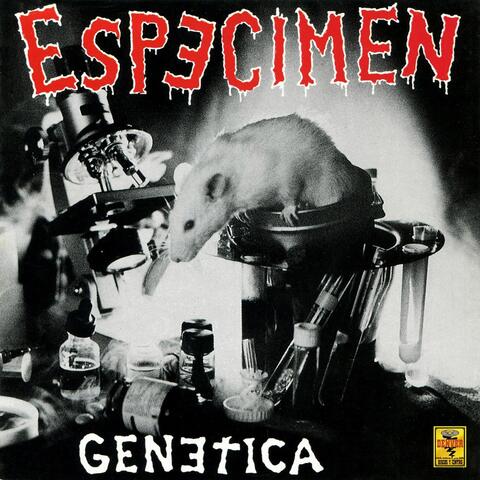 Genética