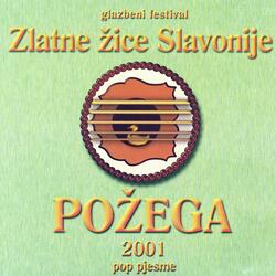 Pijem Ja Zbog Tebe