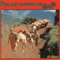 Patas de Hilo