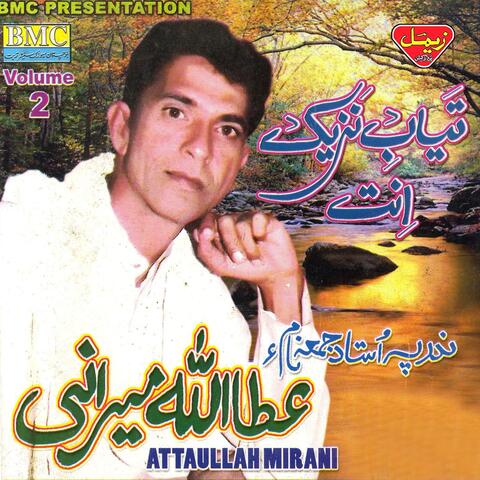 Tayab E Nazeek Ante, Vol. 2