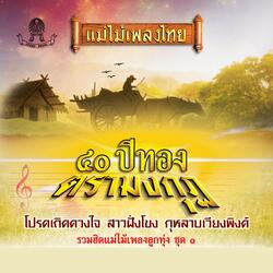 กุหลาบเวียงพิงค์