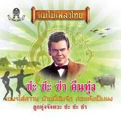 เป็นโสดทำไม