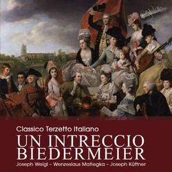 Notturno for Flute, Viola and Guitar, Op. 21: V. Tema e variazione sul Lied Madchen, o Schlummre noch nicht ! di J.A. Fleischmann