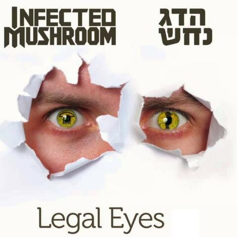 Legal Eyes
