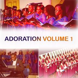 Adorn Bi