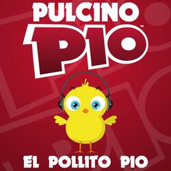 Il pulcino Pio