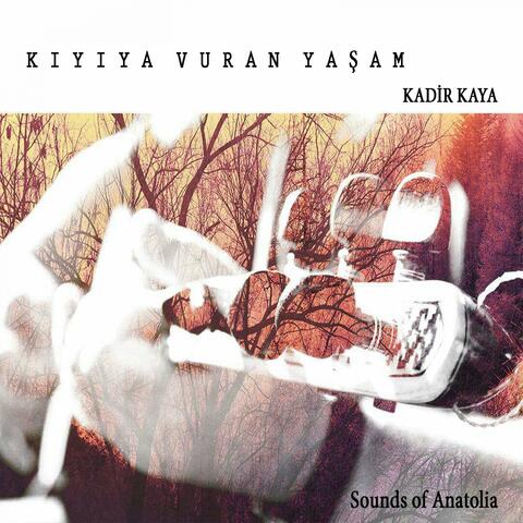 Kıyıya Vuran Yaşam