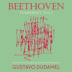 Symphony No. 2 in D Major, Op. 36: II. Larghetto