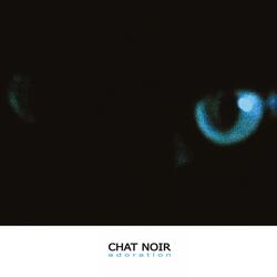 Le reveil du chat