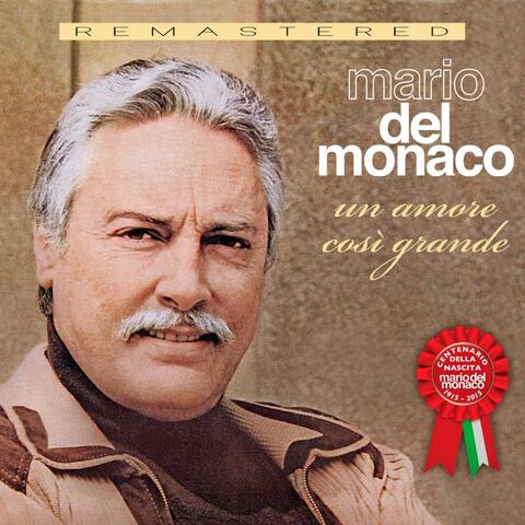 Un amore così grande