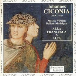 O felix templum jubila (Motet)