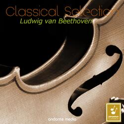 String Quartet No. 9 in C Major, Op. 59 No. 3 "Third Rasumowsky-Quartet": IV. Allegro molto