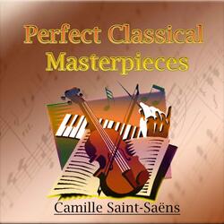 Symphony No. 3 in C Minor, Op. 78: I. Adagio - Allegro moderato - Poco adagio