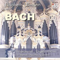 Orgelsonate No. 3 in D Minor, BWV 527: II. Adagio e dolce