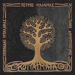 Mataiodoxia