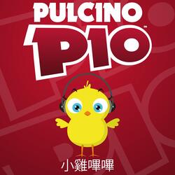 Il pulcino Pio