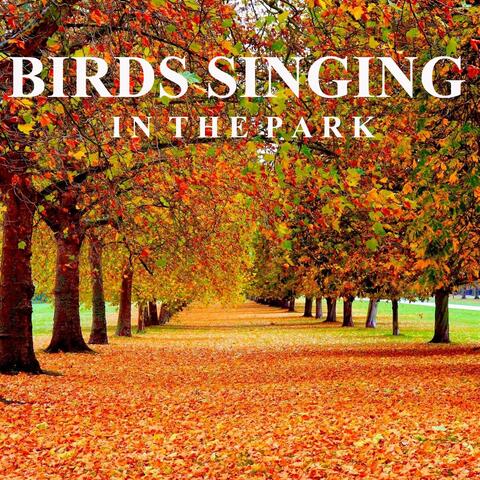 Birds Singing in the Park