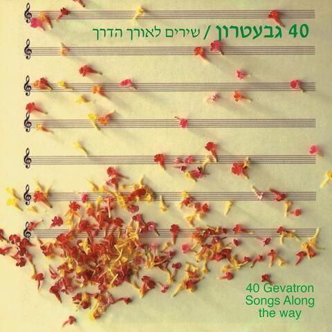 שירים לאורך הדרך