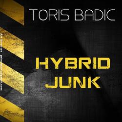 Hybrid Junk