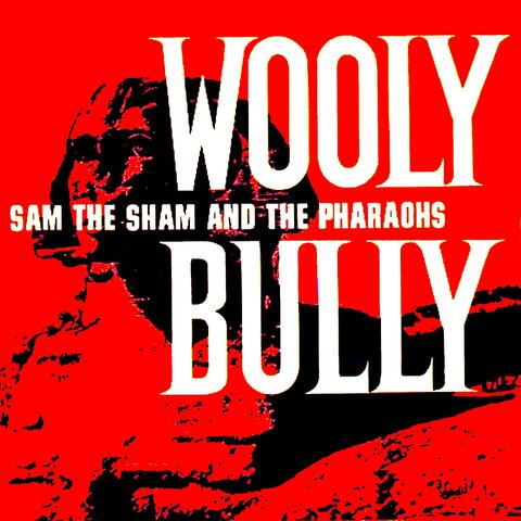 Sam the Sham and the Pharaohs – Hanky Panky Lyrics