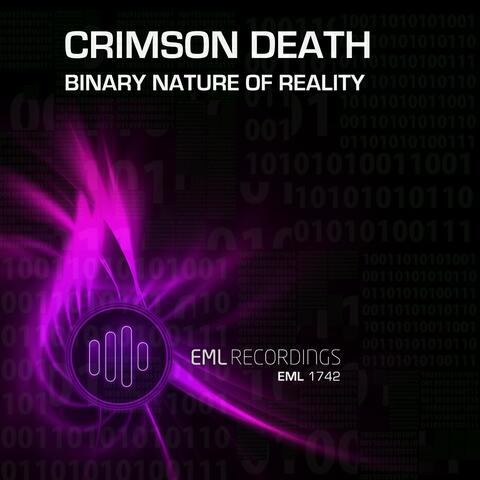The Binary Nature of Reality