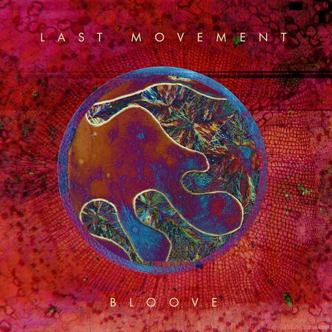 Bloove