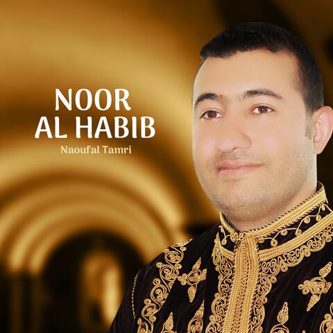 Noor Al Habib