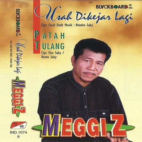 Usah Dikejar Lagi