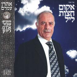 Ahavat Reyia Retzoni