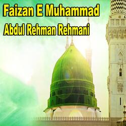 Faizan E Muhammad