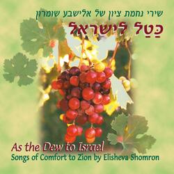 The Lord Will Comfort Zion