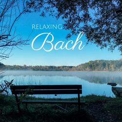 Orchestral Suite No. 3 in D Major, BWV 1068: II. Aria