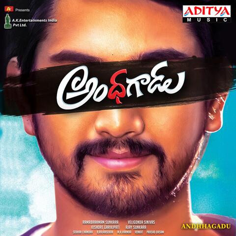 Andhhagadu