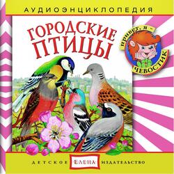 Садовая горихвостка