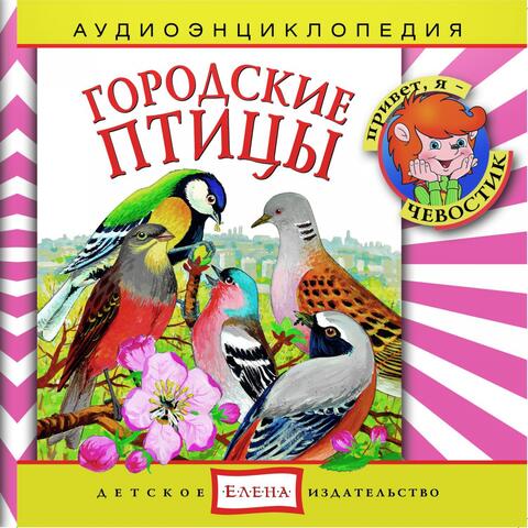 Аудиоэнциклопедия. Городские птицы