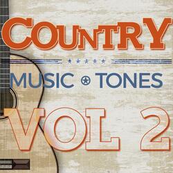 Bubba Shot The Jukebox (Originally Performed by Mark Chesnutt)
