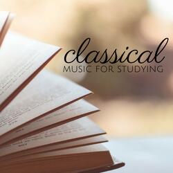 Piano Concerto No. 3 in C Minor, Op. 37: II. Largo