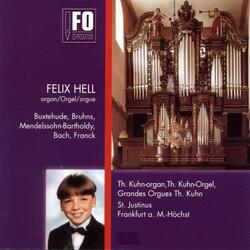 Orgelsonate No. 1 in F Minor, Op. 65 No. 1, MWV W56: I. Was mein Gott will, das g'scheh' allzeit (Choral)