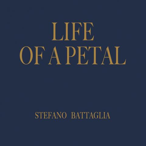 Life of Petal