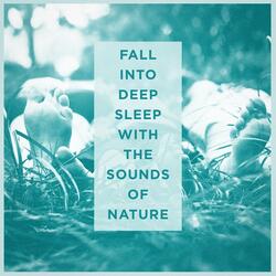 Sounds from a Grove: Spring, Winds and the Blackbird