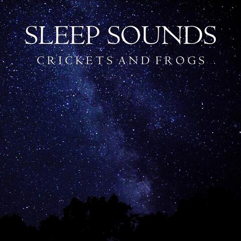Sleep Sounds: Crickets and Frogs