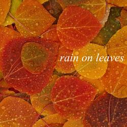 Gentle Sounds of Rain on Leaves