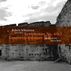 Symphony No. 4 in D Minor, Op. 120: IV. Langsam - Lebhaft - Presto