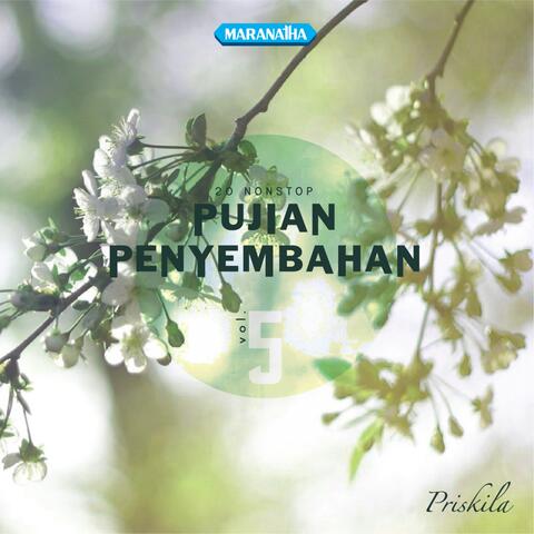 Pujian Penyembahan, Vol. 5