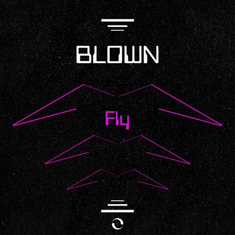 Fly